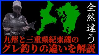 【必見！】今村さんが感じた九州と三重県紀東磯のグレ釣りの違いを解説。