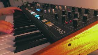 Moog Muse, Matriarch and OB-6 Synth Track