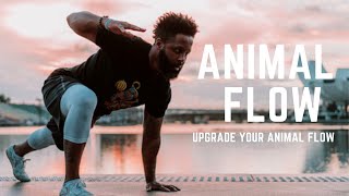 Animal Flow, "Natural Movement" & Wrist Pain | The Upgrade Guys