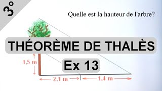 Exercice 13 : calcul de la hauteur d'un arbre