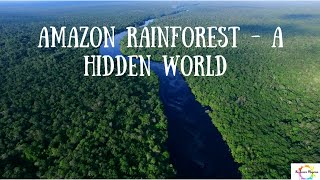 Amazon Rainforest  - A Hidden world  #sciecne #sciencefacts #geography #amazon #extinctspecies