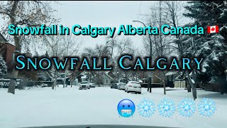 Calgary Snowfall Alberta Canada #calgary #canada #alberta #snow #snowfall #winter #cold  #viral