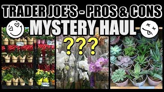 Mystery Haul - SHOCKING DISCOVERY ABOUT TRADER JOE'S