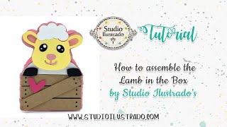 How to assemble the Lamb in the Box by Studio Ilustrado