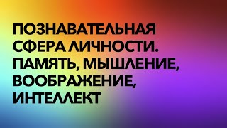 Познавательная сфера личности. Память, мышление, воображение, интеллект