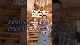 Камерная сушка древесины. Что это? ХВЗ #наука #дерево #пиломатериалы #строительство