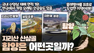 [함양] 지리산 산삼골 경상남도 함양군은 어떤 곳일까? 자세하게 알아보자!