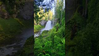 Sahalie Falls, Oregon. #hiking #nature #waterfall