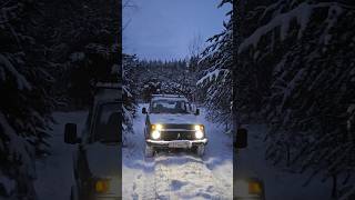 Первый снег #лес #снег #зима2023  #нива #4x4 #природа #snow #nature #forest #niva #winter