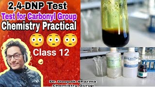 2,4 DNP Test| Chemistry Practical| Test for Carbonyl Group| aldehyde and ketones