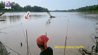 MOMEN UDANG MUDIK⛔•mancing di sungai•mancing udang•mancing ikan