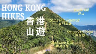 香港山遊 | 針山+360˚景色 ^ 城門水塘 ^ 孖指徑 ^ 麥理浩徑 ^ 猴子🐒🐵！| 顯徑至大圍