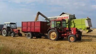 żniwa 2015 wheat harvest 2015 claas mega208 mtz 82 zetor 7211