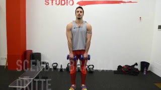 Trapezio e Spalle: Tirate Larghe con Manubri - DaveGamba.com