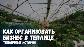 Как организовать бизнес в теплице / Тепличные истории / Выпуск 9