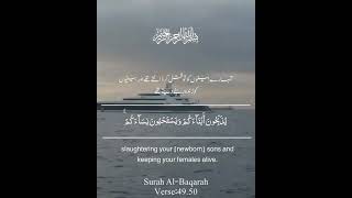 Surah Al-Baqarah Beautiful Quran Recitation Beautiful Tilawat E Quran #shorts #shots #deenalive