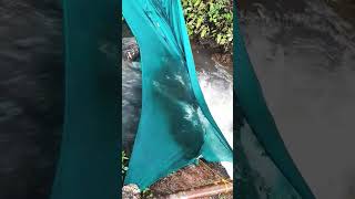 ഈ മീൻപിടിത്തം എങ്ങനുണ്ട് #shortvideo #fishing #fishingvideo #fish