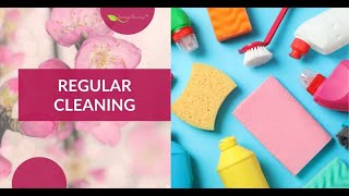 Maintain a Pristine Home: Regular Cleaning Services by Spring Cleaning