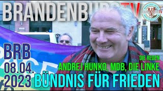 2023-04-08: Friedensdemo Brandenburg, Die Reden - Andrej Hunko