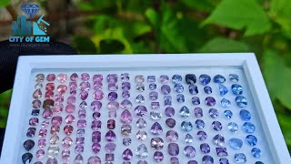 173 Pieces Ceylon Natural Sapphire Faceted Gemstones Collection