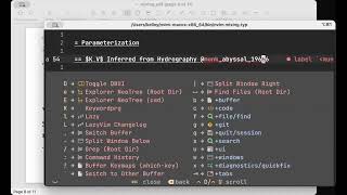 Neovim/typst checks for incorrect bib references and missing files