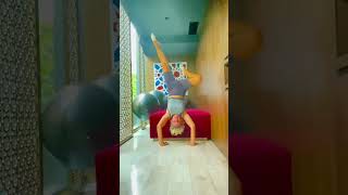 Йога онлайн. My exercises daily- การออกกำลังกายของฉันทุกวัน- Мои упражнения ежедневно 4 август2024 г