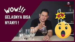 Review Gelas Wine