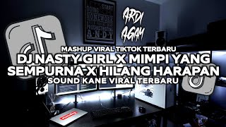 DJ NASTY GIRL X MIMPI YANG SEMPURNA X HILANG HARAPAN VIRAL TERBARU 2024