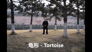 武当五形功 - wudang 5 Animals Qi Gong - 龟 tortoise / Schildkröte