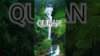 Surah Anam Ayat no 60-62 urdu translation #shorts#video #islamic#ytshorts