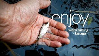 Enjoy Micro Fishing - Tanago