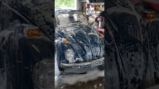 Detailing a 1970 Cobalt Blue VW Beetle, "Find-A-BuG" #shorts #shortsvideo