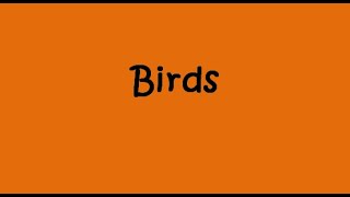 Quick Vocabulary - Birds