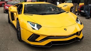 I Need To Buy An Italian Supercar!!!