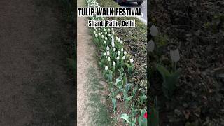 Kya Appne Visit Kiya Ye Pretty Place ?? 🌷 | Tulip Festival In Delhi #tulip #tulipfestival #2024