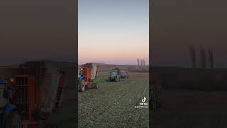 muhteşemiz gardaşş 😂 #cengifarm #semihcengi #farmer #sivas #masseyferguson #agriculture #shortvideo