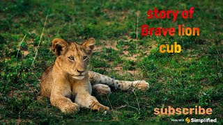 The Brave Little Lion Cub: A Tale of Courage and Survival