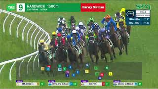 Epsom Handicap 2024 - CEOLWULF (3YO+ Hcp G1) Group 1 Randwick 5 October