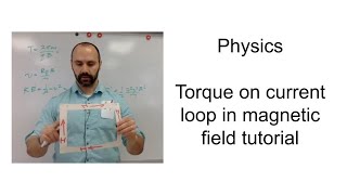 Force on a loop of wire in a magnetic field