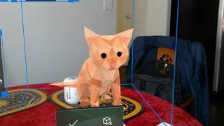 Microsoft Hololens Hologram Cat Demo