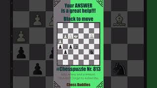 #Chesspuzzle 813