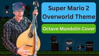 Super Mario 2 Overworld Theme | Octave Mandolin Cover by Mark Berglin