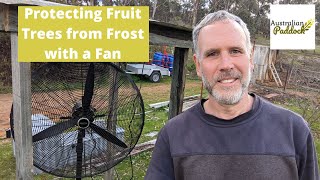 Protecting Fruit Trees from Frost with a Fan