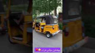 پوهنتون بزرگ هرات یاهم پوهنتون دولتی خیلی عالی #هرات #afghanistan #shortvideo #viral #