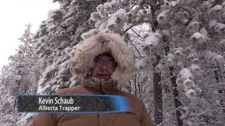 Trapping Inc EP 3 Season 5 2019 Alberta Lynx Trapping