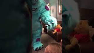 Cade's Wish to Meet Sulley from Monsters Inc - Make-A-Wish Ireland Wish Story