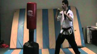 Outer cresent kick   White Belt Kicks and punches