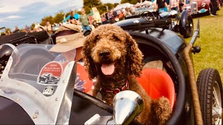 BUSTER RIDES SHOTGUN 1935 Austin Seven 1914 STANLEY Steam Car 1913 OAKLAND 8.2 Romano KOP HILL CLIMB