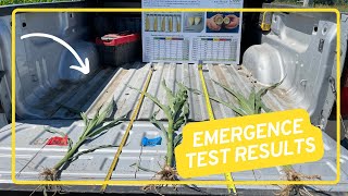 Mid-Season Emergence Test Results