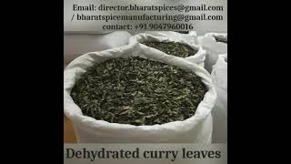 Curry Leaves